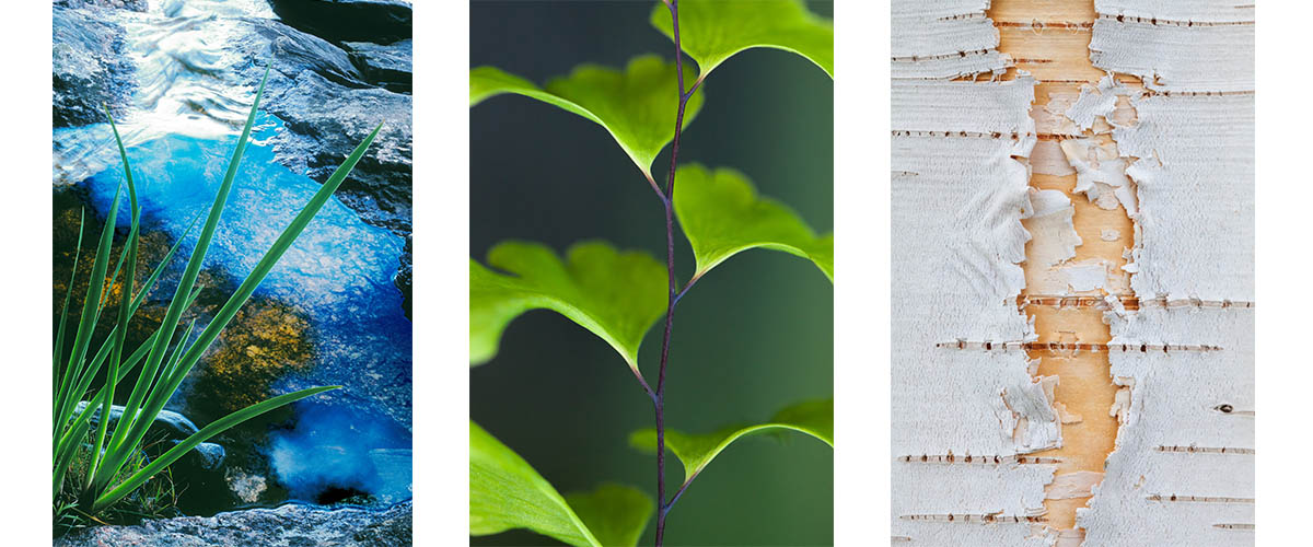 image taken by Lisa Mossel Vietze